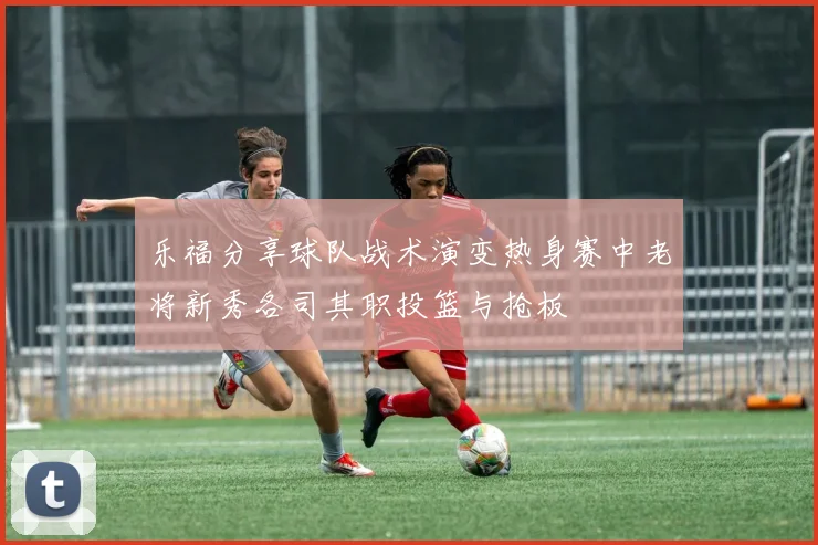乐福分享球队战术演变热身赛中老将新秀各司其职投篮与抢板
